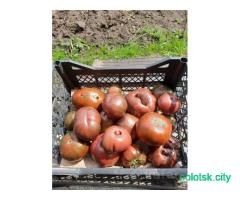 Томаты, помидоры домашние 1кг -4.50 р
