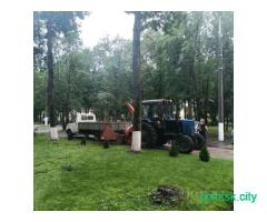 Удаление и обрезка деревьев ДЛЯ ЮРИДИЧЕСКИХ ЛИЦ