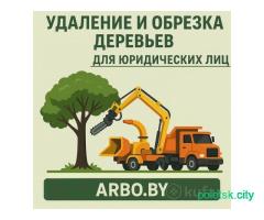 Удаление и обрезка деревьев ДЛЯ ЮРИДИЧЕСКИХ ЛИЦ